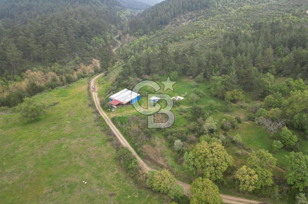 Çanakkale Yenice Hamdibey Köyünde Satılık 333 M² Bahçe !