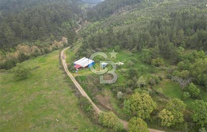 Çanakkale Yenice Hamdibey Köyünde Satılık 333 M² Bahçe !