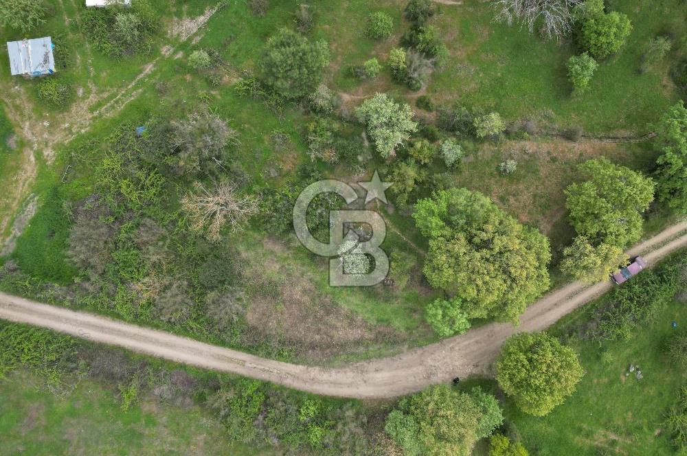 Çanakkale Yenice Hamdibey Köyünde Satılık 333 M² Bahçe !