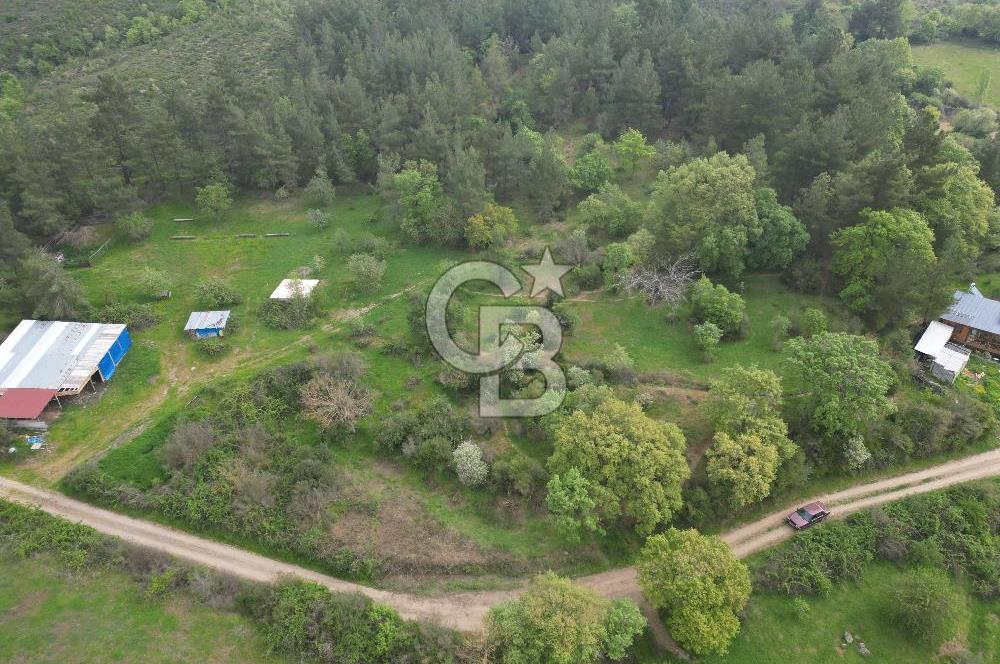 Çanakkale Yenice Hamdibey Köyünde Satılık 333 M² Bahçe !