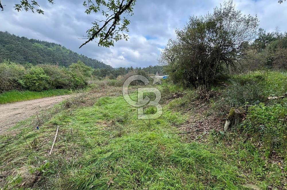 Çanakkale Yenice Hamdibey Köyünde Satılık 333 M² Bahçe !