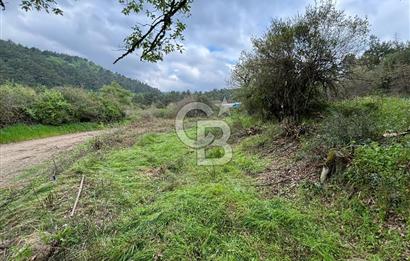 Çanakkale Yenice Hamdibey Köyünde Satılık 333 M² Bahçe !