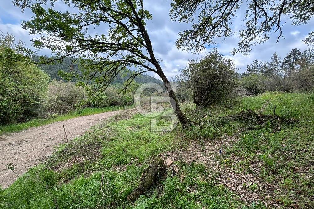 Çanakkale Yenice Hamdibey Köyünde Satılık 333 M² Bahçe !