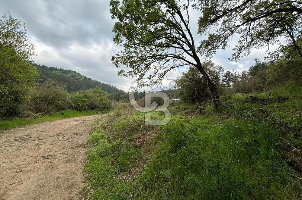 Çanakkale Yenice Hamdibey Köyünde Satılık 333 M² Bahçe !