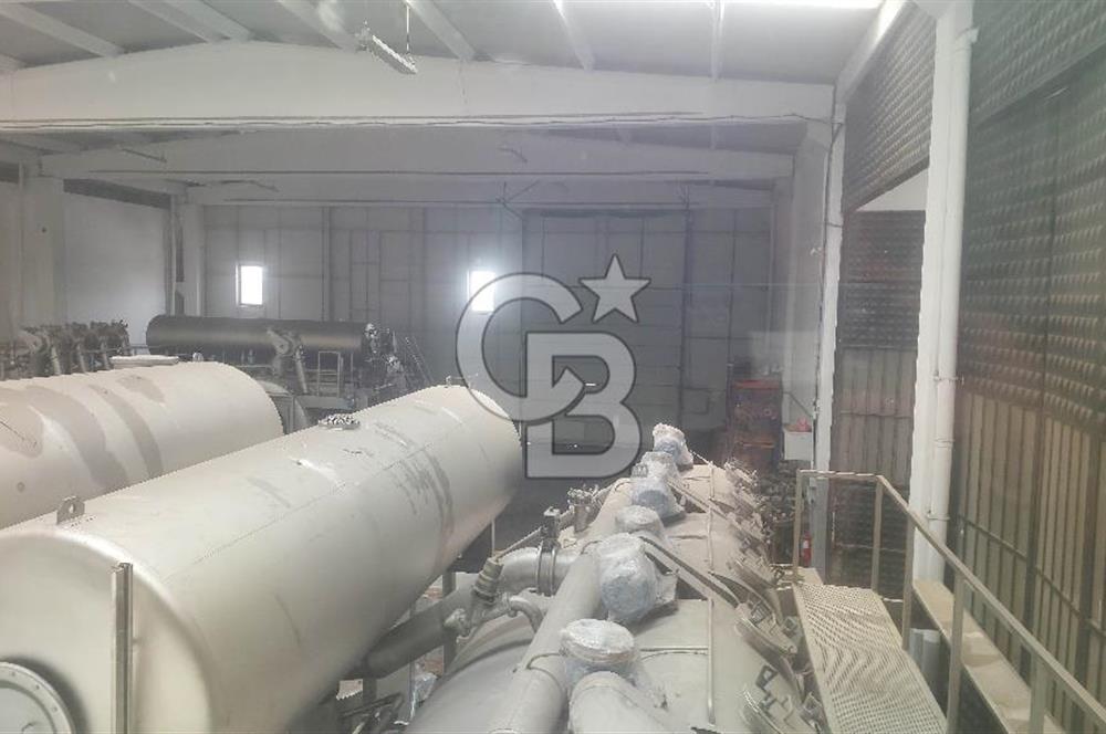 Tekirdağ Ergene Marmaracıkta Kiralık 1600 M2 İmalathane