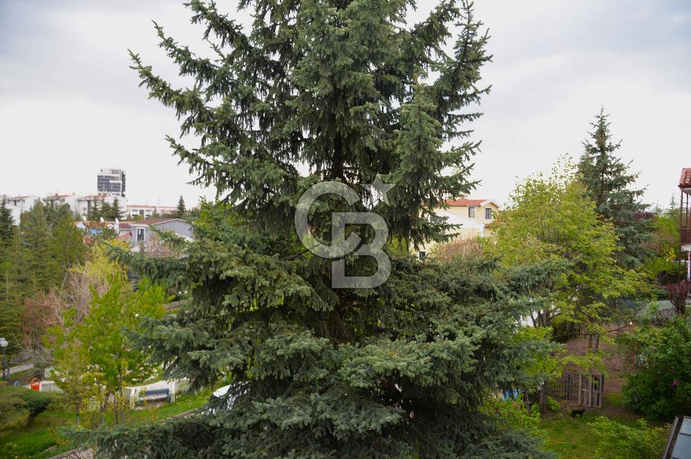 Çankaya konutkent mah kiralık villa