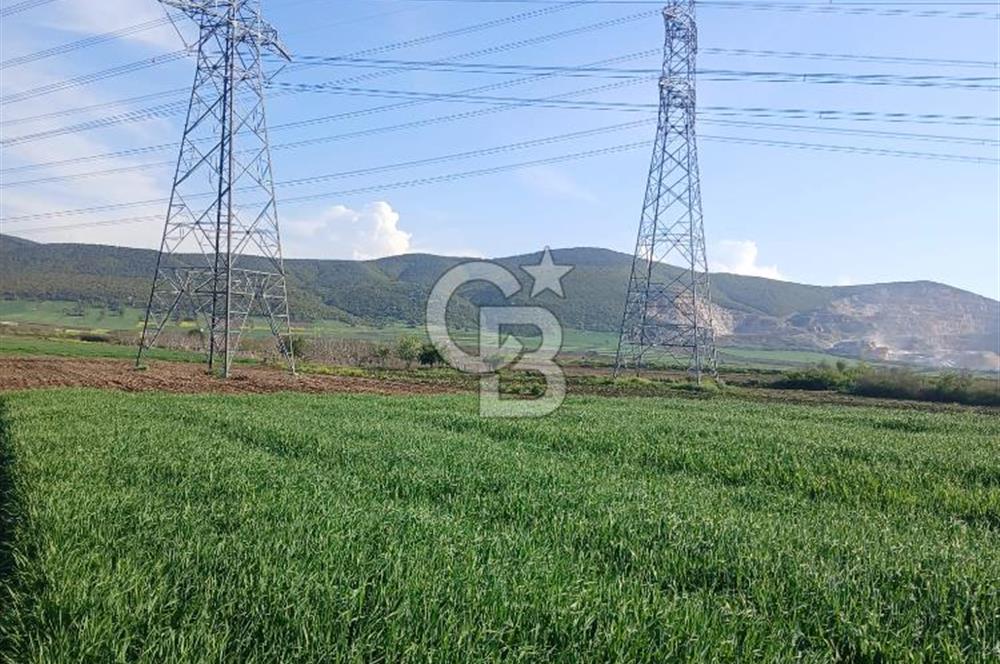 ÇANAKKALE /BİGA/BEKİRLİ DE YATIRIMLIK TARLA