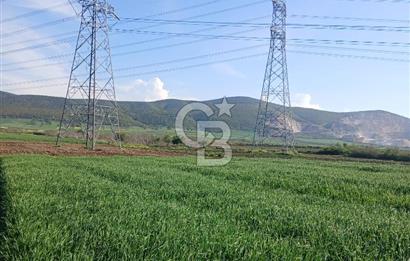 ÇANAKKALE /BİGA/BEKİRLİ DE YATIRIMLIK TARLA