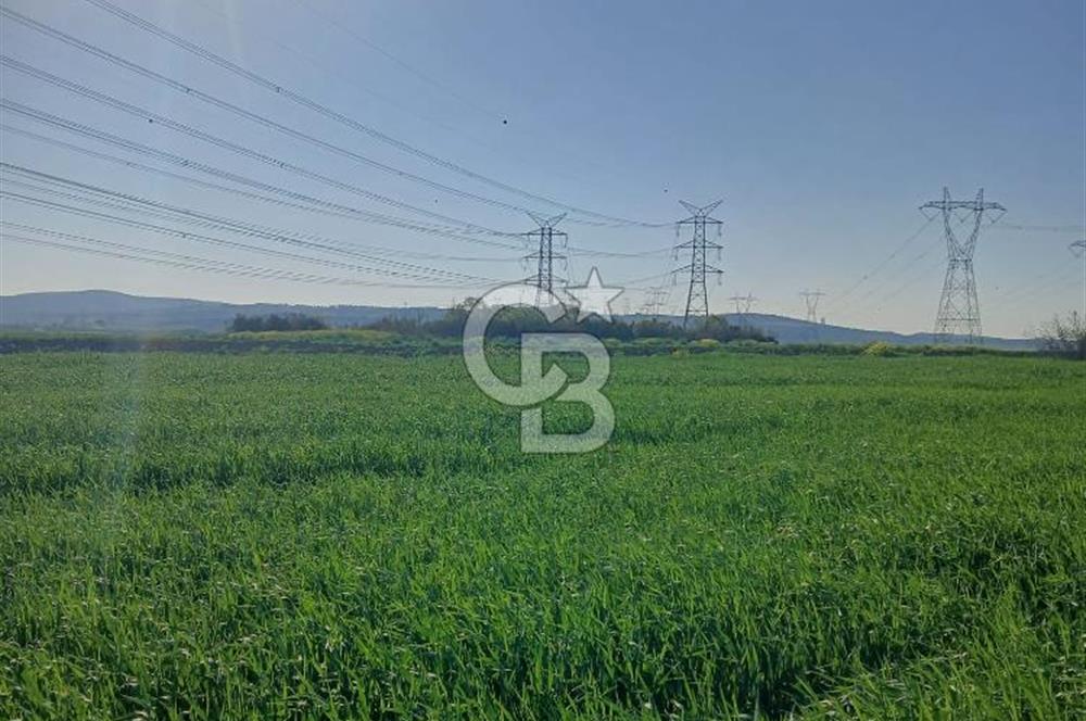 ÇANAKKALE /BİGA/BEKİRLİ DE YATIRIMLIK TARLA