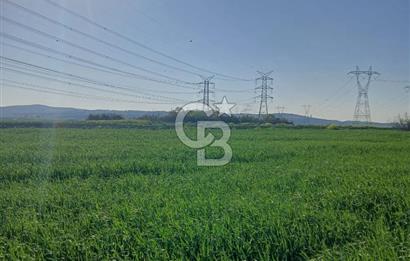ÇANAKKALE /BİGA/BEKİRLİ DE YATIRIMLIK TARLA