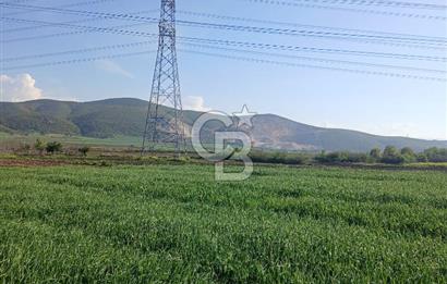 ÇANAKKALE /BİGA/BEKİRLİ DE YATIRIMLIK TARLA