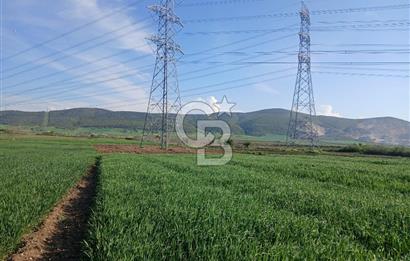 ÇANAKKALE /BİGA/BEKİRLİ DE YATIRIMLIK TARLA