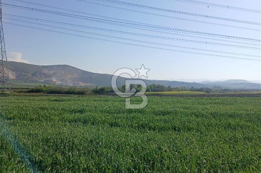 ÇANAKKALE /BİGA/BEKİRLİ DE YATIRIMLIK TARLA