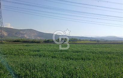 ÇANAKKALE /BİGA/BEKİRLİ DE YATIRIMLIK TARLA