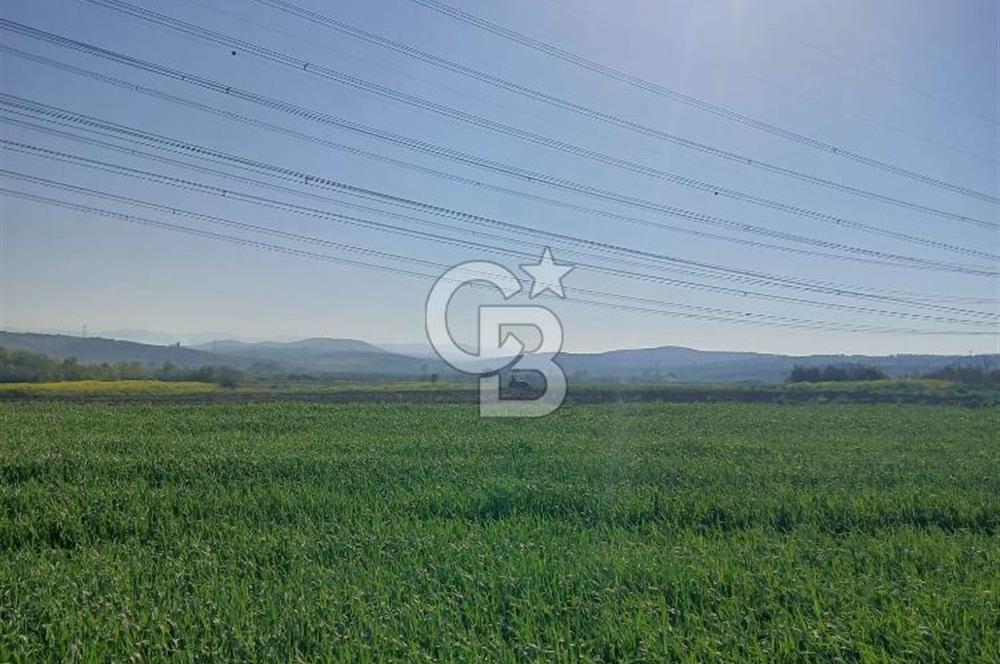 ÇANAKKALE /BİGA/BEKİRLİ DE YATIRIMLIK TARLA