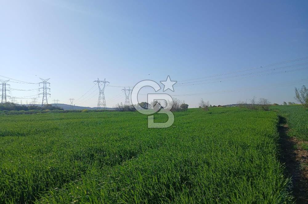 ÇANAKKALE /BİGA/BEKİRLİ DE YATIRIMLIK TARLA