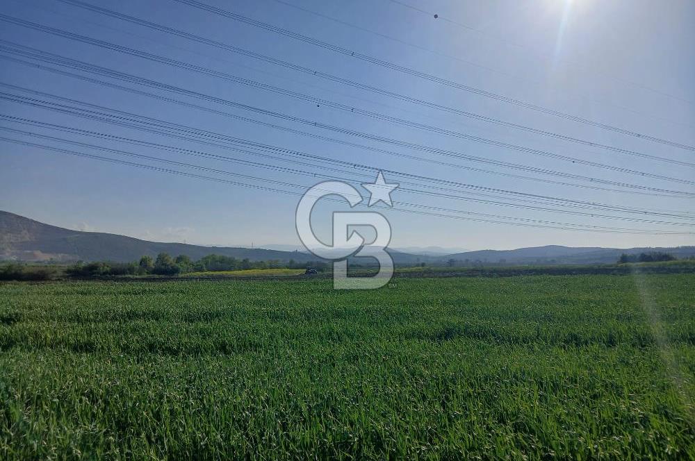ÇANAKKALE /BİGA/BEKİRLİ DE YATIRIMLIK TARLA