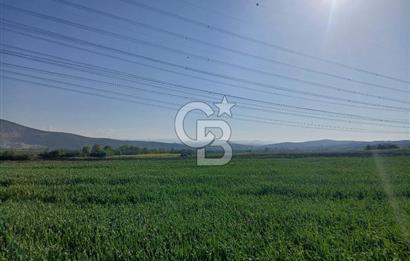 ÇANAKKALE /BİGA/BEKİRLİ DE YATIRIMLIK TARLA