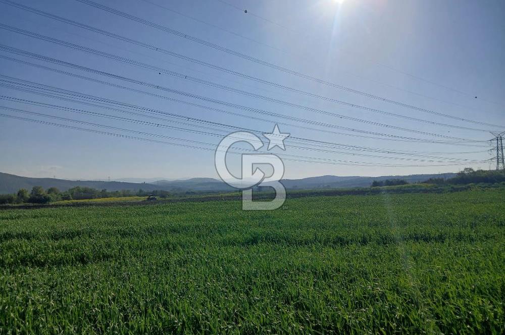 ÇANAKKALE /BİGA/BEKİRLİ DE YATIRIMLIK TARLA