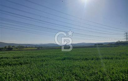 ÇANAKKALE /BİGA/BEKİRLİ DE YATIRIMLIK TARLA