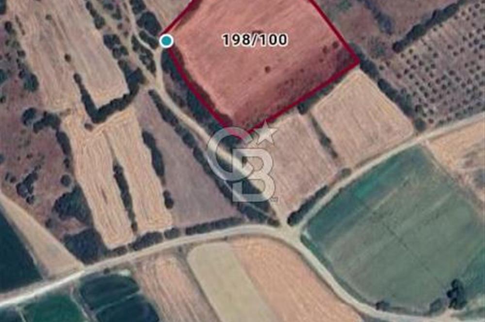ÇANAKKALE/BİGA BEKİRLİ KÖYÜNDE SATILIK 12.853 M² TARLA