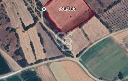 ÇANAKKALE/BİGA BEKİRLİ KÖYÜNDE SATILIK 12.853 M² TARLA