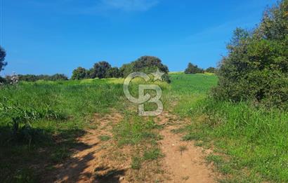 ÇANAKKALE/BİGA BEKİRLİ KÖYÜNDE SATILIK 12.853 M² TARLA