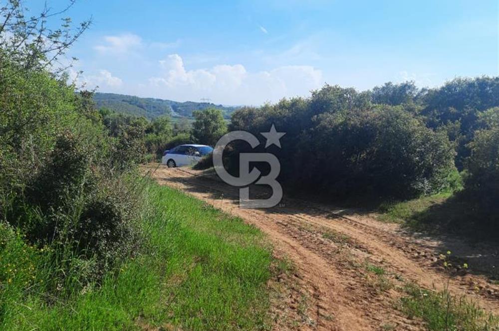 ÇANAKKALE/BİGA BEKİRLİ KÖYÜNDE SATILIK 12.853 M² TARLA