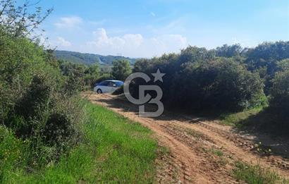 ÇANAKKALE/BİGA BEKİRLİ KÖYÜNDE SATILIK 12.853 M² TARLA