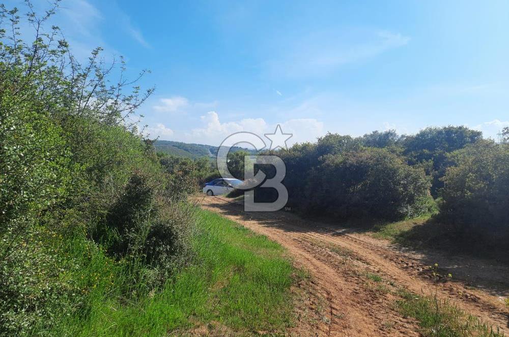 ÇANAKKALE/BİGA BEKİRLİ KÖYÜNDE SATILIK 12.853 M² TARLA