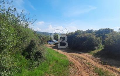 ÇANAKKALE/BİGA BEKİRLİ KÖYÜNDE SATILIK 12.853 M² TARLA