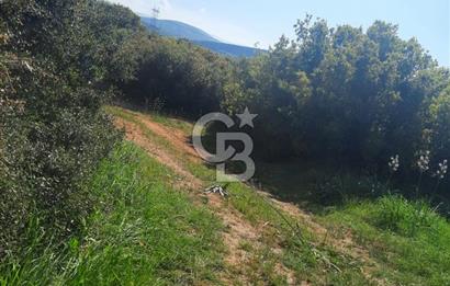 ÇANAKKALE/BİGA BEKİRLİ KÖYÜNDE SATILIK 12.853 M² TARLA