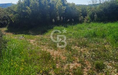 ÇANAKKALE/BİGA BEKİRLİ KÖYÜNDE SATILIK 12.853 M² TARLA