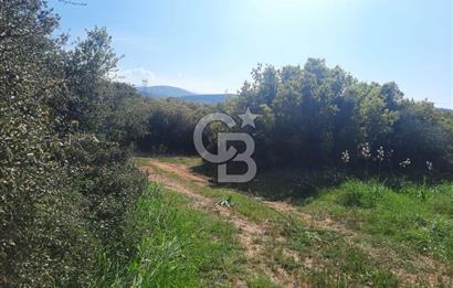 ÇANAKKALE/BİGA BEKİRLİ KÖYÜNDE SATILIK 12.853 M² TARLA