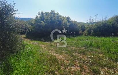 ÇANAKKALE/BİGA BEKİRLİ KÖYÜNDE SATILIK 12.853 M² TARLA