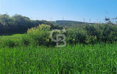 ÇANAKKALE/BİGA BEKİRLİ KÖYÜNDE SATILIK 12.853 M² TARLA