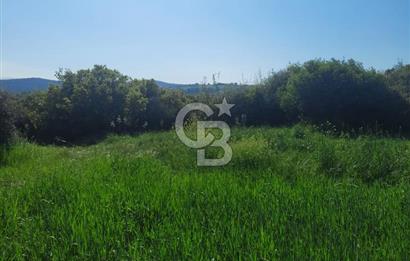 ÇANAKKALE/BİGA BEKİRLİ KÖYÜNDE SATILIK 12.853 M² TARLA