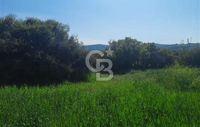 ÇANAKKALE/BİGA BEKİRLİ KÖYÜNDE SATILIK 12.853 M² TARLA
