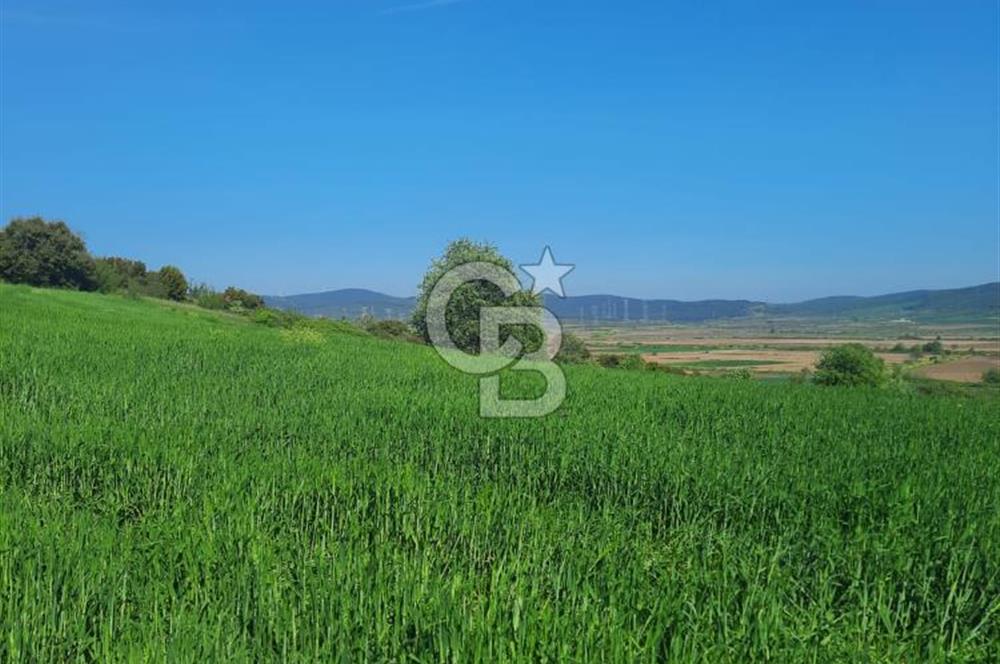 ÇANAKKALE/BİGA BEKİRLİ KÖYÜNDE SATILIK 12.853 M² TARLA