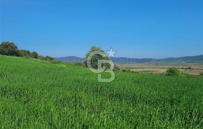 ÇANAKKALE/BİGA BEKİRLİ KÖYÜNDE SATILIK 12.853 M² TARLA