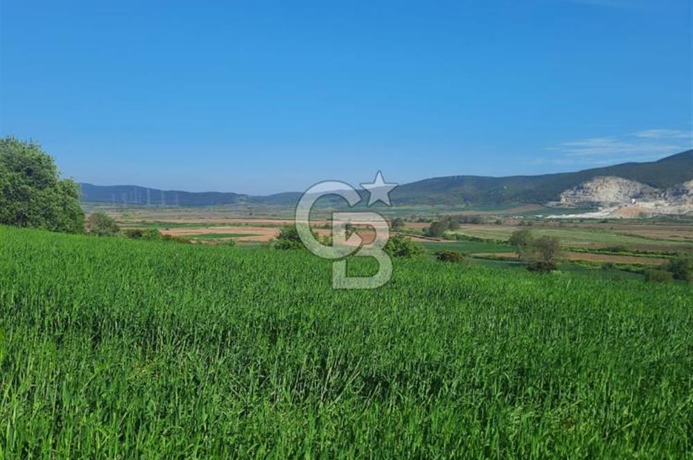 ÇANAKKALE/BİGA BEKİRLİ KÖYÜNDE SATILIK 12.853 M² TARLA