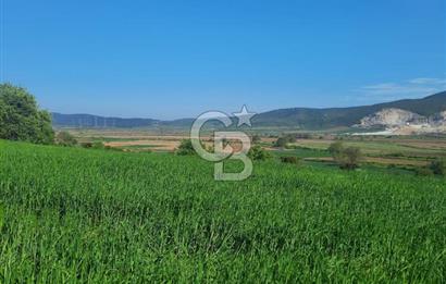 ÇANAKKALE/BİGA BEKİRLİ KÖYÜNDE SATILIK 12.853 M² TARLA