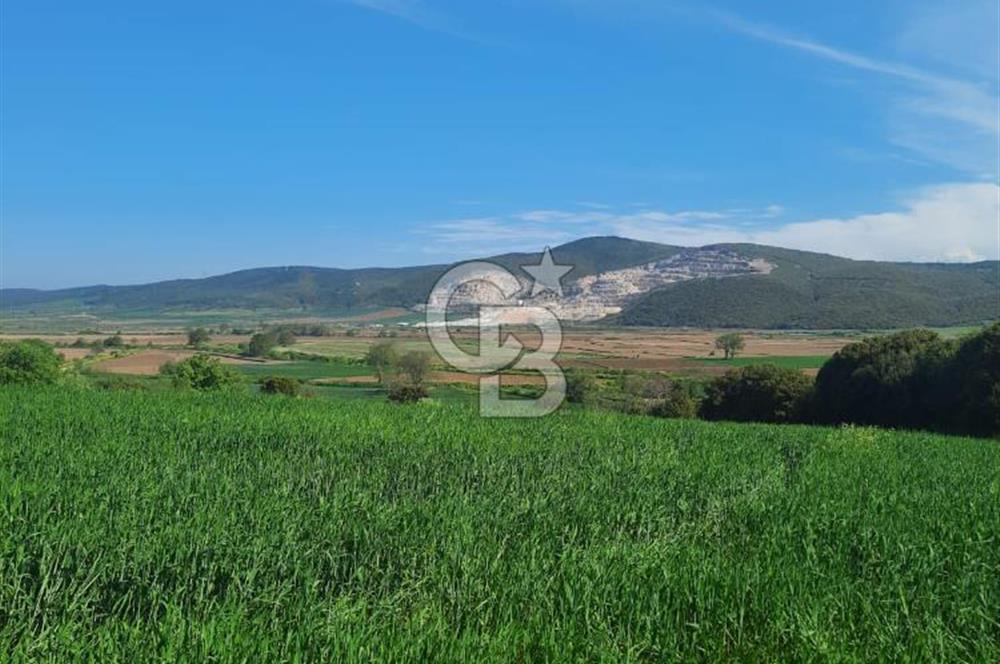 ÇANAKKALE/BİGA BEKİRLİ KÖYÜNDE SATILIK 12.853 M² TARLA