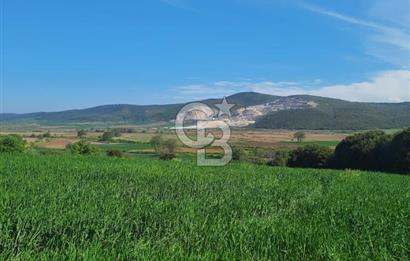 ÇANAKKALE/BİGA BEKİRLİ KÖYÜNDE SATILIK 12.853 M² TARLA