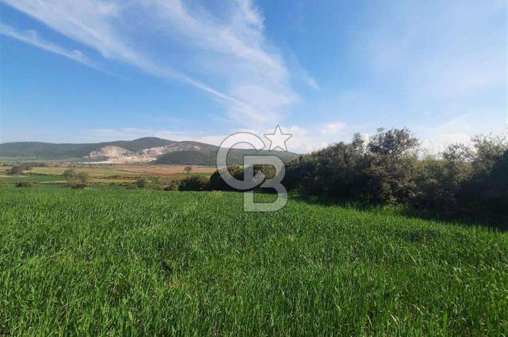 ÇANAKKALE/BİGA BEKİRLİ KÖYÜNDE SATILIK 12.853 M² TARLA