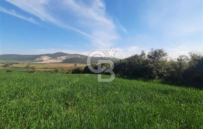 ÇANAKKALE/BİGA BEKİRLİ KÖYÜNDE SATILIK 12.853 M² TARLA
