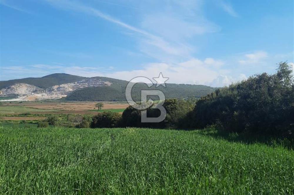 ÇANAKKALE/BİGA BEKİRLİ KÖYÜNDE SATILIK 12.853 M² TARLA