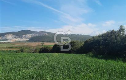 ÇANAKKALE/BİGA BEKİRLİ KÖYÜNDE SATILIK 12.853 M² TARLA