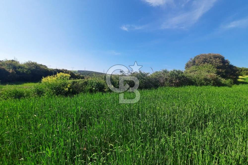 ÇANAKKALE/BİGA BEKİRLİ KÖYÜNDE SATILIK 12.853 M² TARLA