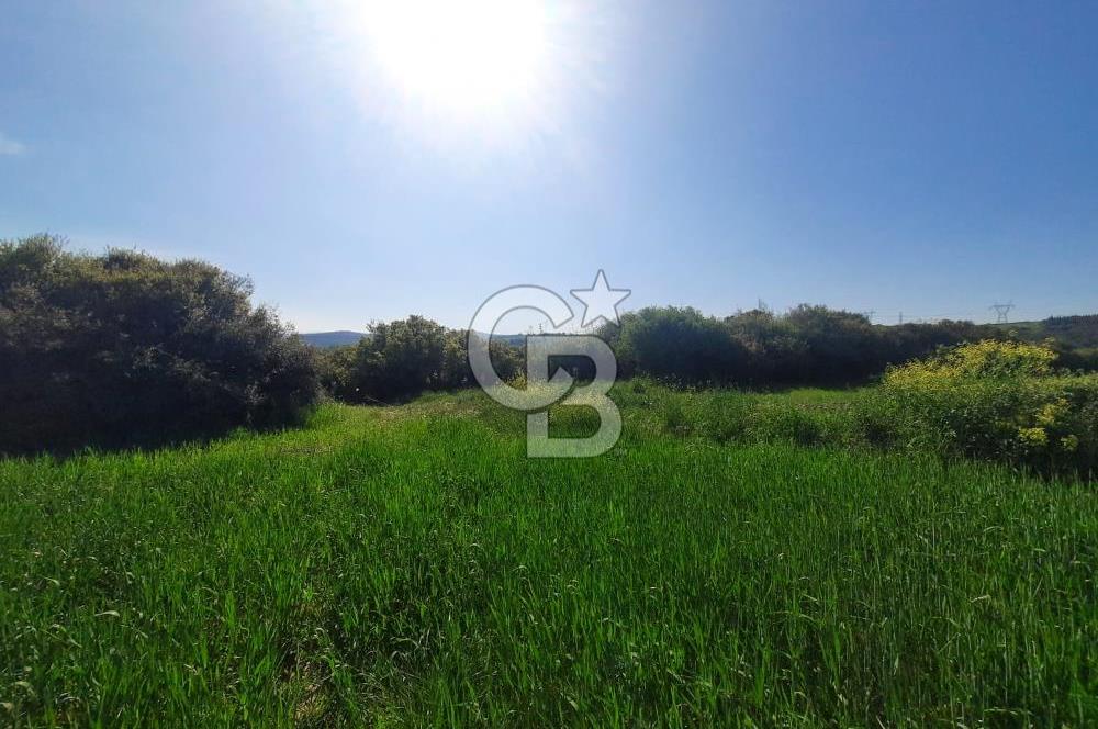 ÇANAKKALE/BİGA BEKİRLİ KÖYÜNDE SATILIK 12.853 M² TARLA
